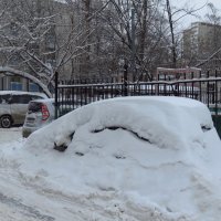 Свершилось: в Москве - настоящий снег! - Мне нравится. :: Андрей Лукьянов