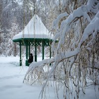 В зимнем парке :: Андрей Шаронов
