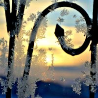 Снежинки на стекле. :: Михаил Столяров