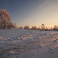 ***** :: Дамир Белоколенко