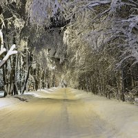 Зима в подмосковье :: Юрий Бичеров