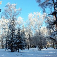 Зимний лес :: раиса Орловская