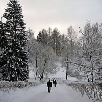 Снежный февраль. :: ТАТЬЯНА (tatik)