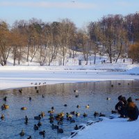 Зима в Царицыно :: Ольга 