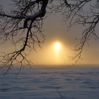 под властью сумрака....... :: Валентина Папилова