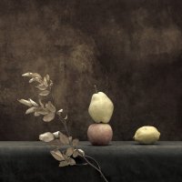 Груша, яблоко, лимон :: Valentin Ivantsov