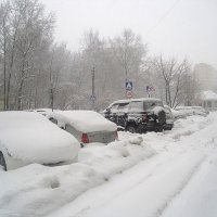 Все замело (снегопад) :: Елена Семигина