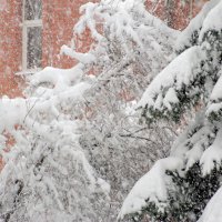 снегопад :: Валерий Самородов