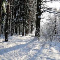 Зима :: Владимир Холодницкий