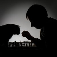 Шахматы 2 :: Андрей Бондаренко