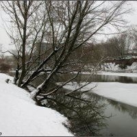 Зимним днём на берегу реки :: Нина Бутко