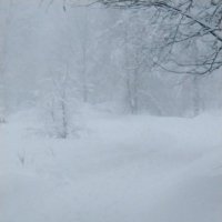 Снег :: Екатерина 