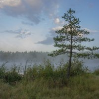Ранним утром на побережье лесного оз.Свято. :: Igor Andreev