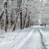 дорожка :: юрий иванов