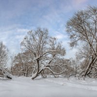 *** :: Николай Андреев