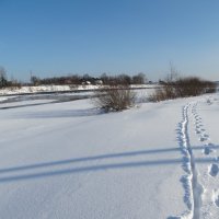 следы и тени :: Михаил Жуковский