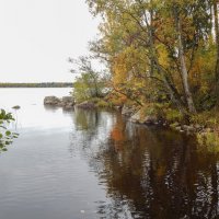 Парк Монрепо. :: Лариса (Phinikia) Двойникова