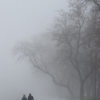 В тумане :: Анатолий Шулков