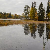 Парк Монрепо. :: Лариса (Phinikia) Двойникова