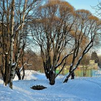 Зима в любимом Парке... :: Sergey Gordoff