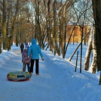 На снежной аллее... :: Sergey Gordoff