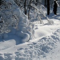 Зима :: Валюша Черкасова