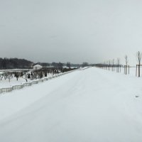 Петергофские панорамы Новый Марлинский вал :: tipchik 