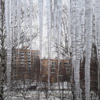 Зима :: Михаил Розенберг
