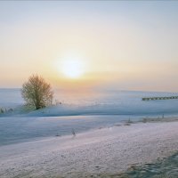 Картинка зимняя, утренняя... :: Александр Никитинский