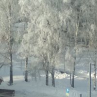 Зима в Сибири :: Георгий Светлов