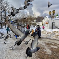 летите голуби :: Moscow.Salnikov Сальников Сергей Георгиевич