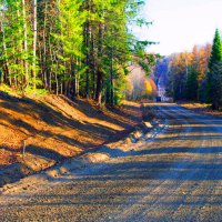 дорога от нуля :: леонид логинов