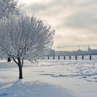 Прохладно :: Наталия П