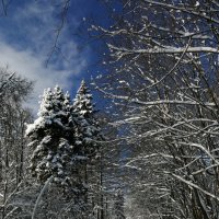 Идём к обзорной площадке на Воробьеых Горах (Москва) :: Юрий Поляков