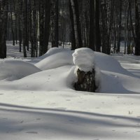 Снег :: Ольга Беляева