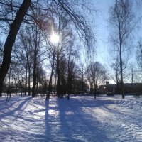 Солнечный день, зимний парк. (Санкт-Петербург). :: Светлана Калмыкова