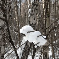 снежные игрушки :: Валерий Самородов