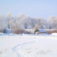 Зимняя сказка :: Татьяна Носова