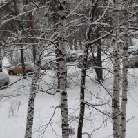 Февральский снег :: Олег Афанасьевич Сергеев