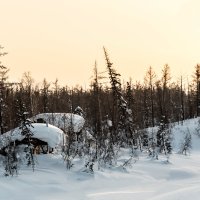 * :: Антон Кривошейцев