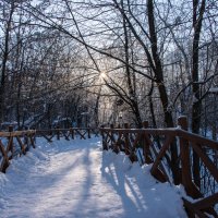 Морозное утро в парке. :: Владимир Безбородов