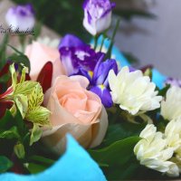 Дарите женщинам цветы :: Марина Щуцких