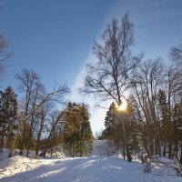 Солнечный день :: Юрий Кольцов