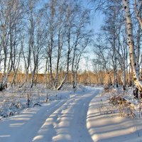 Дорога в снегу :: Владимир 