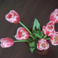 тюльпаны :: Taina 