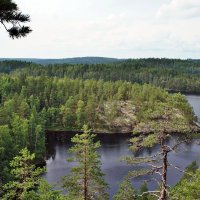 «Маленькая Лапландия» в Южной Финляндии. Озеро Реповеси :: Елена Павлова (Смолова)