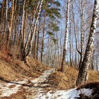 Весна :: Владимир Холодницкий