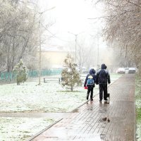 Снег в марте :: Ольга Акимова