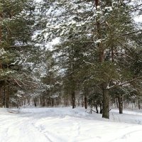 В конце зимы :: Милешкин Владимир Алексеевич 