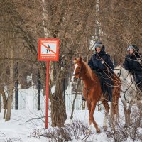 Выход запрещён, можно только верхом.... :: Nyusha .